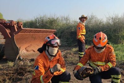 Imagem da notícia Inscrições para seleção de soldado temporário dos Bombeiros são prorrogadas até 1º de julho